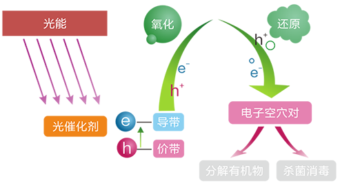 金沙js3833(中国游)有限公司官网