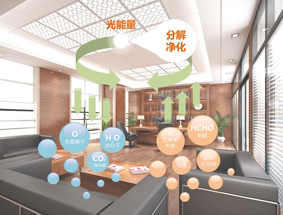 金沙js3833(中国游)有限公司官网