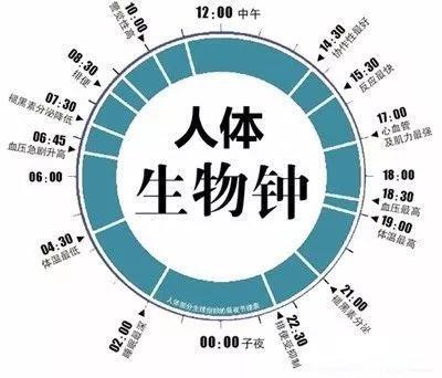 金沙js3833(中国游)有限公司官网