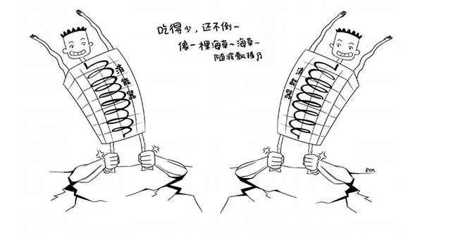 金沙js3833(中国游)有限公司官网