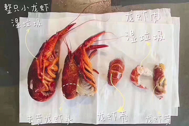 金沙js3833(中国游)有限公司官网