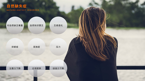 金沙js3833(中国游)有限公司官网